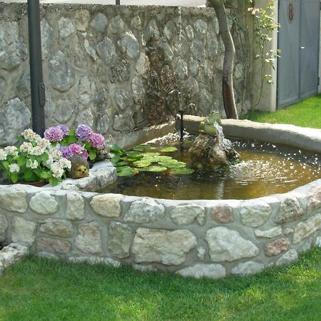 Villa Due Leoni - Residence Brenzone sul Garda Luaran gambar